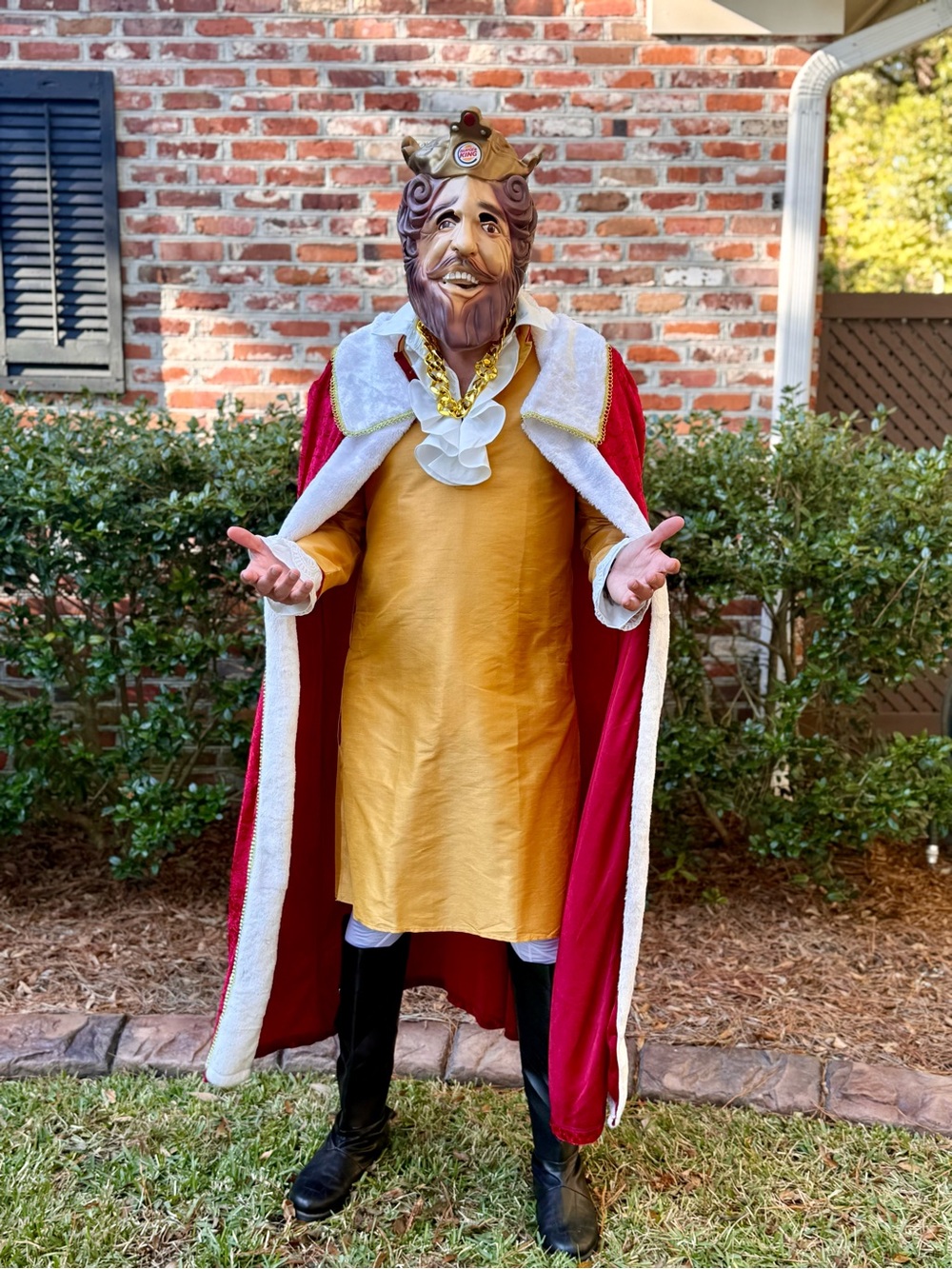 Burger King Costume